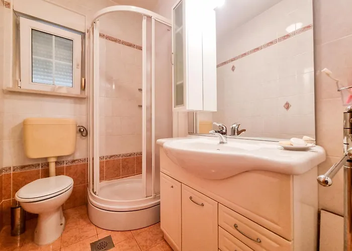 Nevenka Apartment Cizici